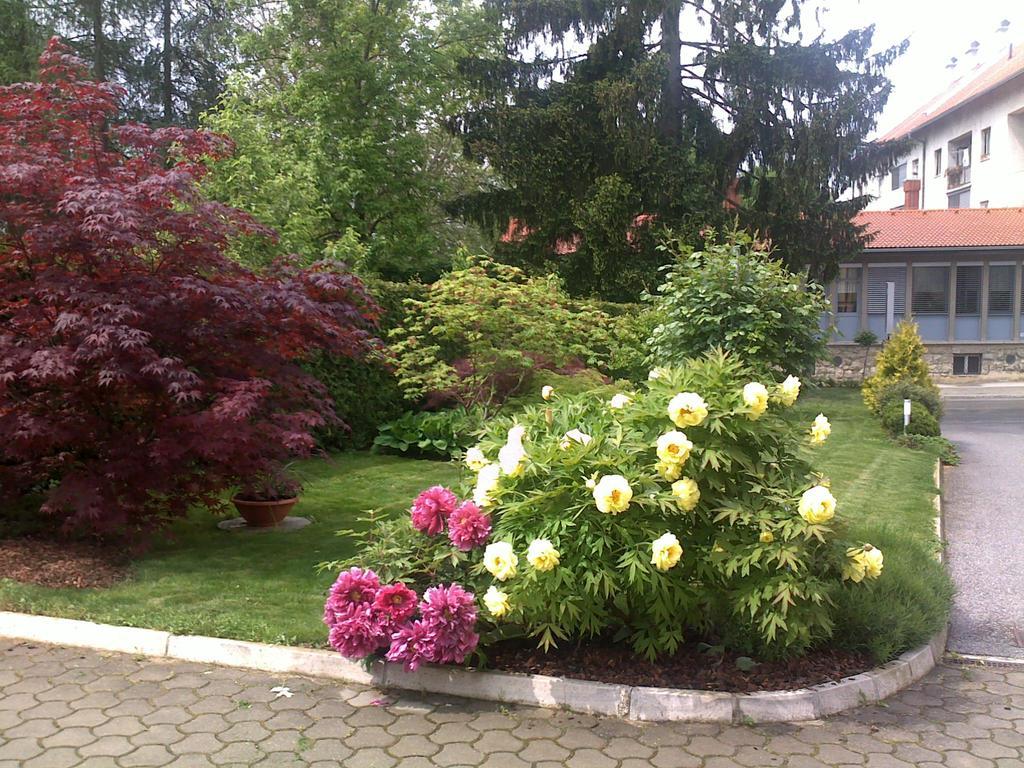 Apartment Sobe Ravbar Novo Mesto Exterior photo