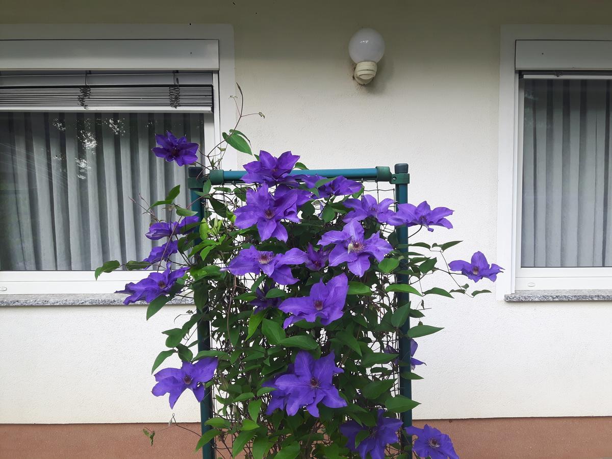 Apartment Sobe Ravbar Novo Mesto Exterior photo